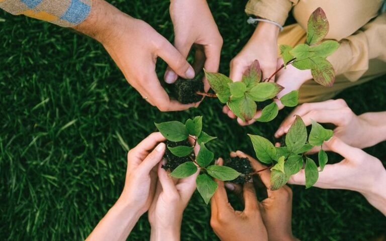 ENVIRONMENTALLY SUSTAINABLE IDEAS